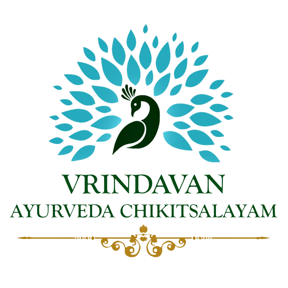 Ayurveda Shop by VVAC